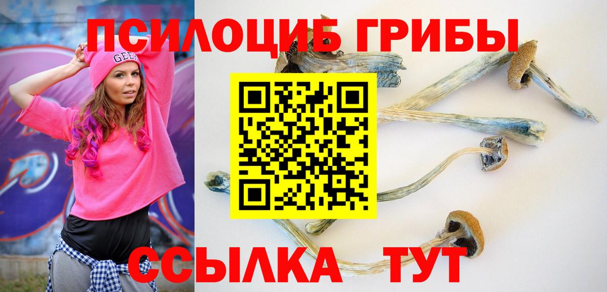 Галлюциногенные грибы мицелий  Псилоцибиновые грибы прущие грибы  Вход с VPN  Старый Оскол 