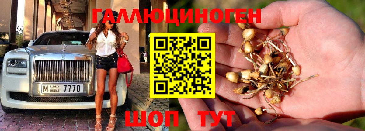 Галлюциногенные грибы прущие грибы  Старый Оскол  Псилоцибиновые грибы MAGIC MUSHROOMS 